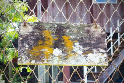 Old wood with moss and fungus hanging on wire fence 