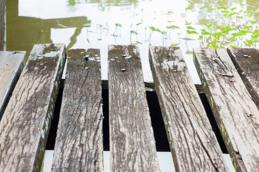 wood textured backgrounds in a room interior on the river and water plants