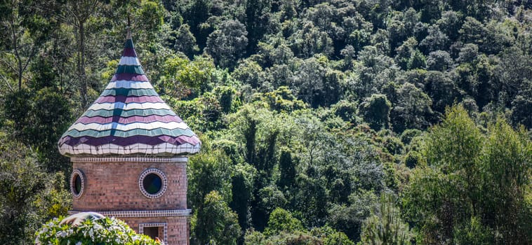 Tower in middle of the green forest illuminated by the noon sun 