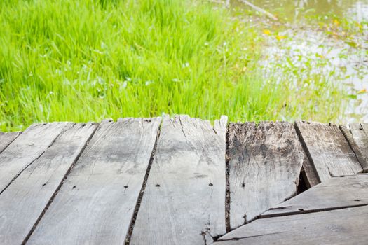 wood textured backgrounds in a room interior on the riverside and green grass