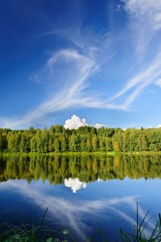 Beautiful river coast in the wild Karelian woods, Karjal