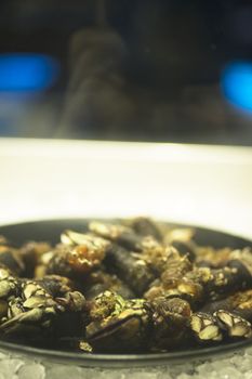 Barnacles in dish on ice in restaurant photo.