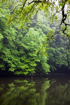 Water landscape in summer. Green trees near the water.