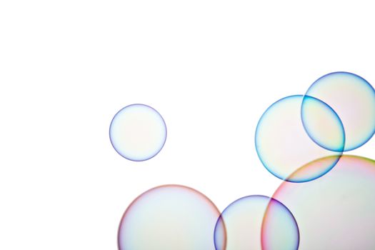 Group of soap bubbles on a white background