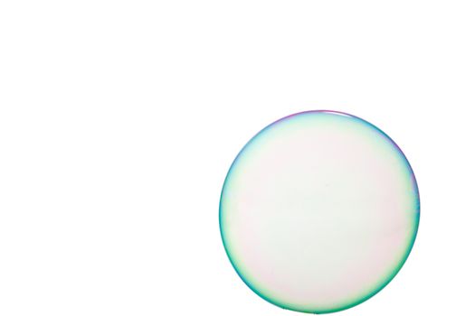 One soap bubble on a white background