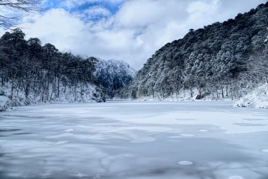 Panoramic view of dense forest under a snowy cover on the shore              