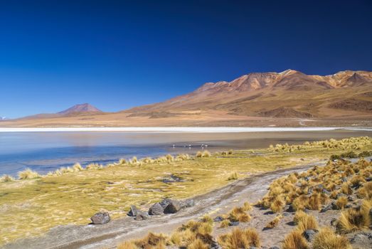 Picturesque shallow lake in bolivian desert near Salar de Uyuni