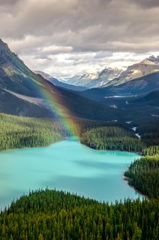 Scenic mountain view of Peyto lake, Canadian Rockies, Alberta, Canada