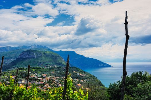 Rural Amalfi coast, plantation viticulture