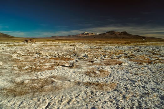 Scenic view of bolivian Sajama national park and some of its highest peaks