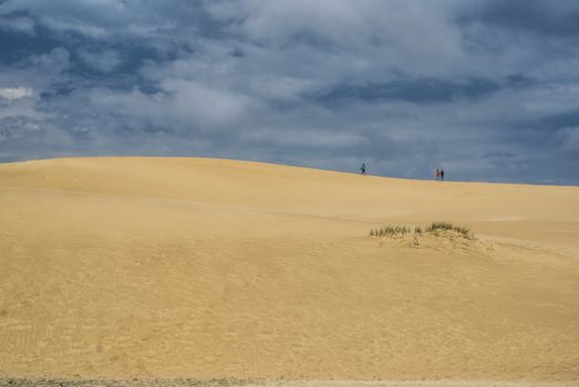 Sand dunes near Cabo Polonio in Uruguay, south America                 