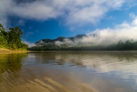 Brown lake waters in bolivian jungle forests