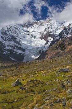 Majestic peaks and herd of llamas in Ausangate in Peru, south american Andes