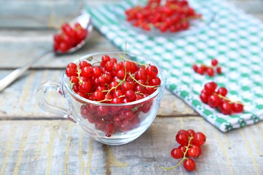 much fresh red currant in a transparent cup