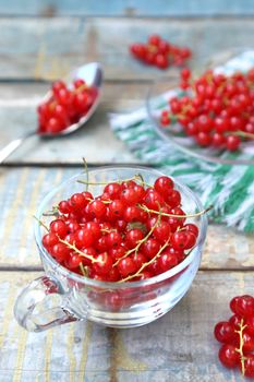 much fresh red currant in a transparent cup