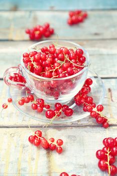 much fresh red currant in a transparent cup