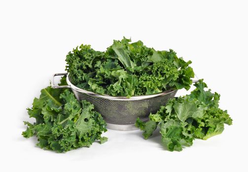 Kale in a bowl on white background