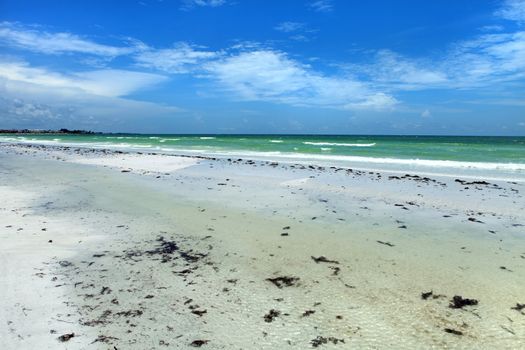 Siesta Key Beach is located on the gulf coast of Sarasota Florida with powdery sand. 