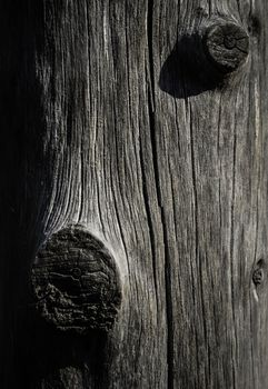 background or texture gray abstract wood trunk sculpture