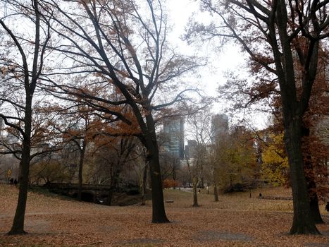 sunrise and sunset in Central Park