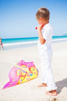 Summer vacation - Cute boy flying kite beach outdoor.