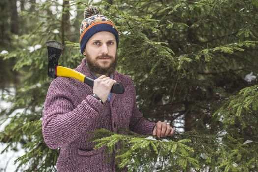 Woodcutter with beard and axe cuts fir tree in winter woods