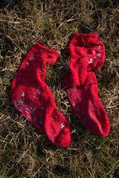 Frozen socks in winter in a field
