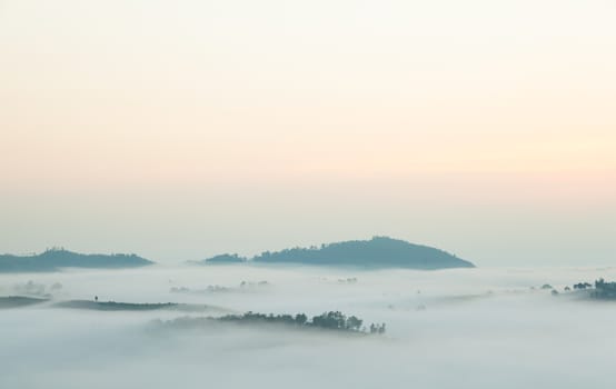 Fog covered mountains and trees on a cold morning and the sun was rising.