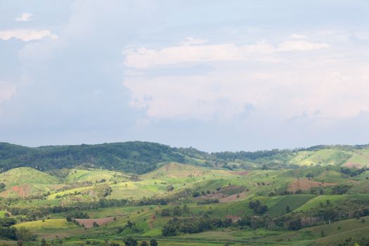 Agricultural areas in the mountains. Zoning, agricultural plantations on forest land from the villagers.