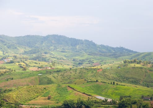 Agricultural areas in the mountains. Zoning, agricultural plantations on forest land from the villagers.