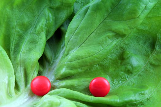 Pills on a lettuce leaf