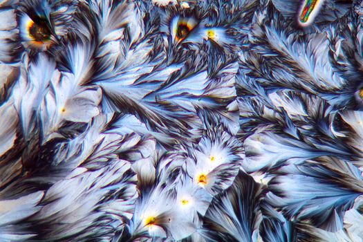 Crystals of Paracetamol under a microscope.