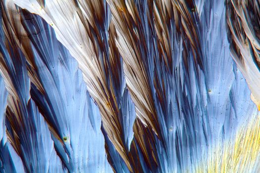 Crystals of Paracetamol under a microscope.