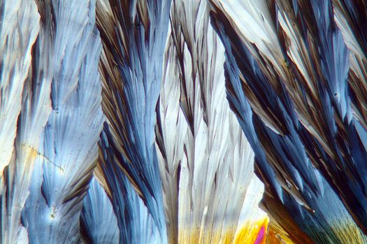 Crystals of Paracetamol under a microscope.