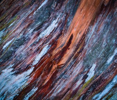 abstract background or texture Colorful the rotten wood