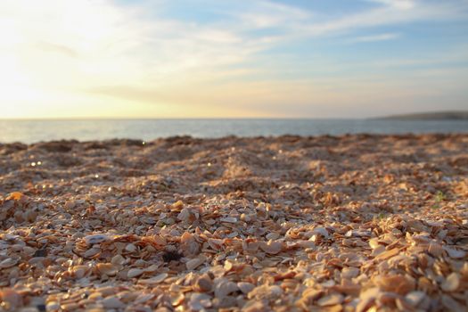 Shelly beach with views of the sea and sky at sunset, travel background