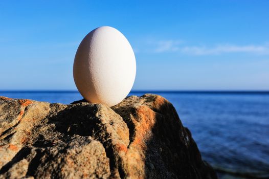 Hen's egg on the sea boulder