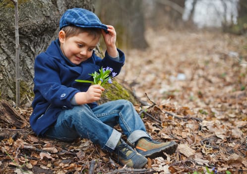 Cute little boy in forest with primroses flowers on spring day