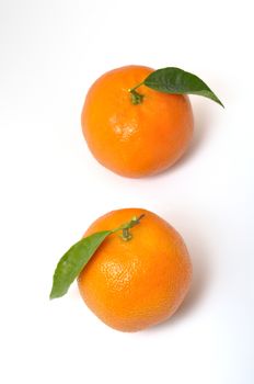 Clementine orange