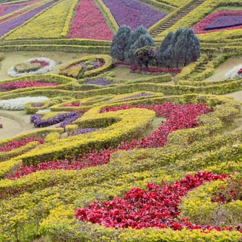 Garden landscape