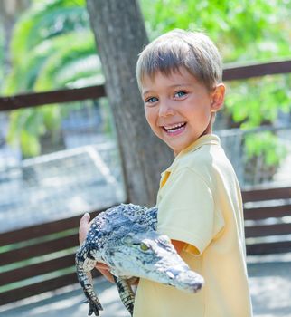 Little boy hold real crocodile on crocodile farm