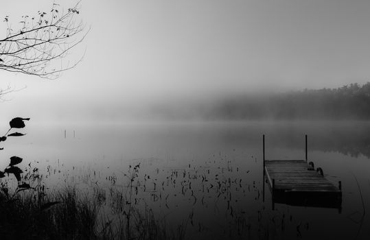 A weekend in the woods of south eastern Ontario, on a small lake.