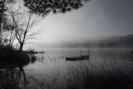 A weekend in the woods of south eastern Ontario, on a small lake.