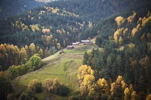 Georgian countryside tourism view autumn forest colors