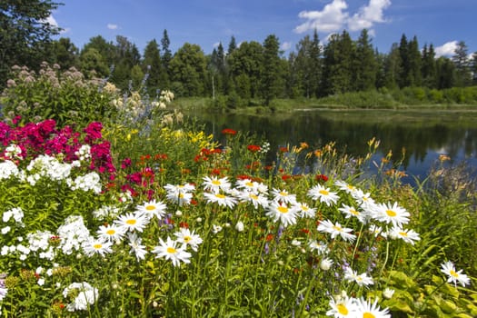 The Estonian summer landscape