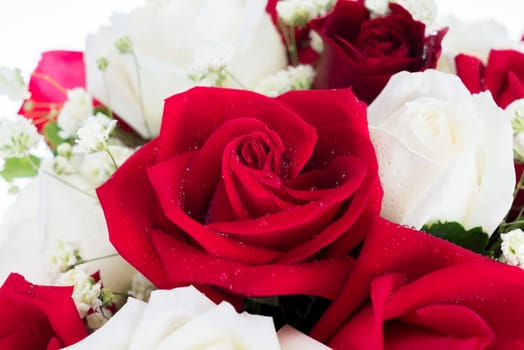 Red and white rose are arrange together