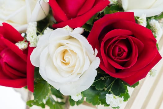 Red and white rose are arrange together