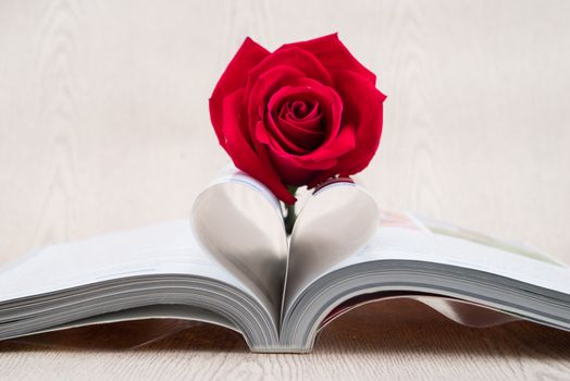 Rose placed on the books page that is bent into a heart shape on wooden background