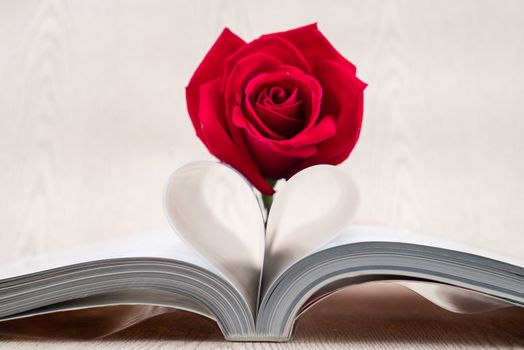 Rose placed on the books page that is bent into a heart shape on wooden background