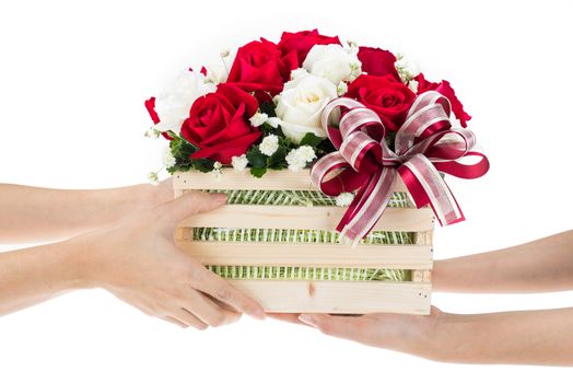 Hand delivers baskets of red and white rose flowers as a gift isolated on white background